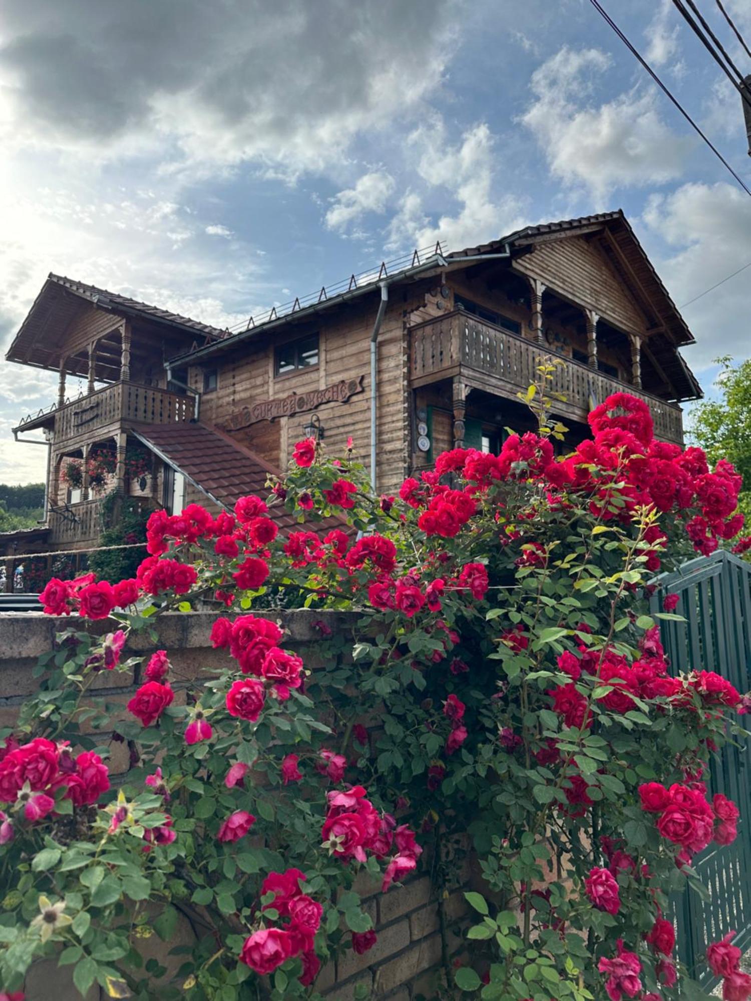 La Curtea Veche Apartment Lapus Exterior photo